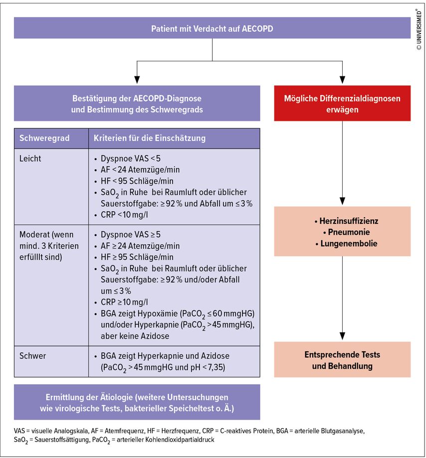 Aktuelle Konzepte Bei Copd Pneumologie Universimed Medizin Im Fokus 8135